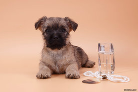 IMG_0080.jpg (128.97 КБ, Просмотров: 3479) IMG_0080.jpg