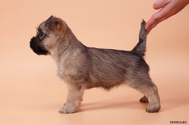 IMG_0102.jpg (140.11 КБ, Просмотров: 3457) IMG_0102.jpg