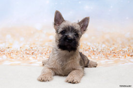 IMG_1854.jpg (148.65 КБ, Просмотров: 3329) IMG_1854.jpg