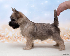 IMG_1862.jpg (192.61 КБ, Просмотров: 3331) IMG_1862.jpg