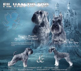 Гучи-Гвен.jpg (515.01 КБ, Просмотров: 5758) Гучи-Гвен.jpg