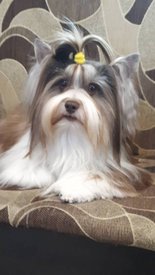 папа 11.jpg (61.53 КБ, Просмотров: 1662) папа 11.jpg