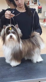 папа 22.jpg (65.44 КБ, Просмотров: 1656) папа 22.jpg