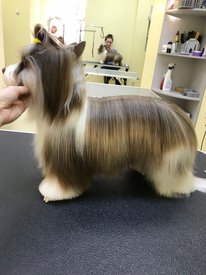 папа 33.jpg (164.97 КБ, Просмотров: 1662) папа 33.jpg