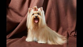 мама 11.jpg (68.91 КБ, Просмотров: 1661) мама 11.jpg