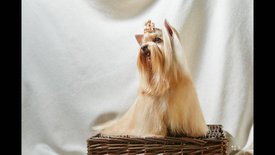 мама 2 2.jpg (57.38 КБ, Просмотров: 1570) мама 2 2.jpg