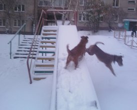 IMG693-01.jpg (294.89 КБ, Просмотров: 13883) IMG693-01.jpg