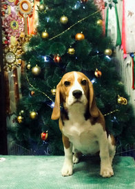 49039901_980780132106660_1638526540205522944_n.jpg (668.33 КБ, Просмотров: 3098) 49039901_980780132106660_1638526540205522944_n.jpg