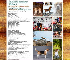 Шайнер.jpg (445.29 КБ, Просмотров: 3112) Шайнер.jpg