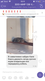 26C3607F-2A41-4EC5-8CC7-8BE1B4841C09.png (412.18 КБ, Просмотров: 3425) 26C3607F-2A41-4EC5-8CC7-8BE1B4841C09.png