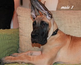 IMG-a296e2213a9f435f80c656ea16932ebf-V.jpg (233.57 КБ, Просмотров: 1530) IMG-a296e2213a9f435f80c656ea16932ebf-V.jpg