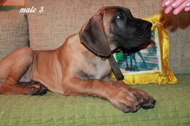 IMG-c37d018301f17e5f32cf7e958bd39f4c-V.jpg (217.8 КБ, Просмотров: 1622) IMG-c37d018301f17e5f32cf7e958bd39f4c-V.jpg