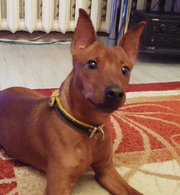 мастер 1.jpg (152.67 КБ, Просмотров: 13698) мастер 1.jpg