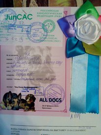 мастер 2.jpg (193.84 КБ, Просмотров: 13690) мастер 2.jpg