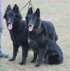 20190302_212920.jpg (620.31 КБ, Просмотров: 1322) 20190302_212920.jpg