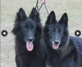 20190302_212901.jpg (382.97 КБ, Просмотров: 1322) 20190302_212901.jpg