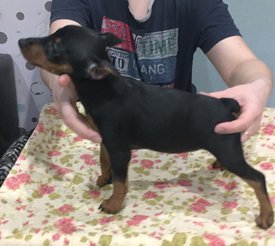 п 1.jpg (177.44 КБ, Просмотров: 13216) п 1.jpg