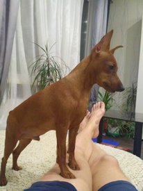 IMG_20190303_232930.jpg (91.68 КБ, Просмотров: 4010) IMG_20190303_232930.jpg