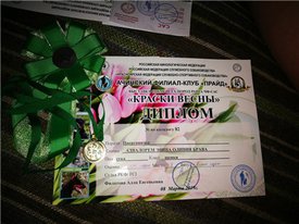 оливия диплом.jpg (51.73 КБ, Просмотров: 13143) оливия диплом.jpg