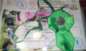 циля САС.jpg (36.43 КБ, Просмотров: 13541) циля САС.jpg