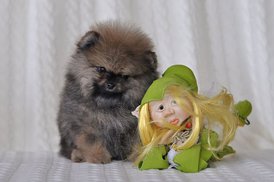 хим 2.jpg (69.93 КБ, Просмотров: 1568) хим 2.jpg