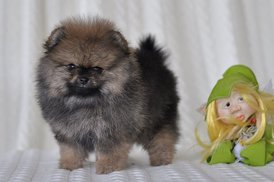 хим 1.jpg (86.2 КБ, Просмотров: 1568) хим 1.jpg