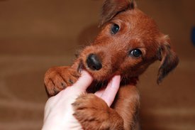 IMG_1470.jpg (149.91 КБ, Просмотров: 2560) IMG_1470.jpg