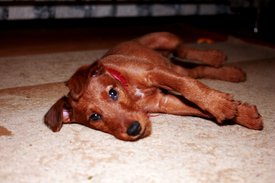 IMG_1622.jpg (168.66 КБ, Просмотров: 2300) IMG_1622.jpg