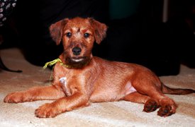 IMG_1614.jpg (193.34 КБ, Просмотров: 2300) IMG_1614.jpg