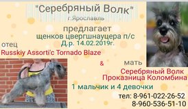53034418_2135776310068625_7053560185322733568_n.jpg (75.64 КБ, Просмотров: 2697) 53034418_2135776310068625_7053560185322733568_n.jpg