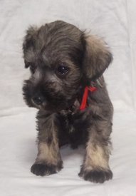 IMG_20190331_111830_771.jpg (47.78 КБ, Просмотров: 2394) IMG_20190331_111830_771.jpg