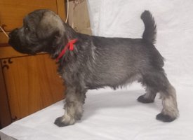 IMG_20190331_111906_092.jpg (65.42 КБ, Просмотров: 2393) IMG_20190331_111906_092.jpg