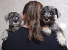 IMG_20190428_081355_270.jpg (56.3 КБ, Просмотров: 2114) IMG_20190428_081355_270.jpg