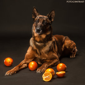 Бэйн - 1.jpg (947.81 КБ, Просмотров: 7184) Бэйн - 1.jpg