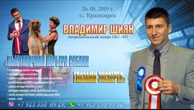 20190506_094951.jpg (455.67 КБ, Просмотров: 5192) 20190506_094951.jpg