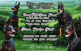 презент.jpg (210.5 КБ, Просмотров: 1598) презент.jpg