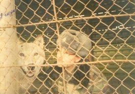 VRVj4E4yq3E.jpg (220.61 КБ, Просмотров: 8472) VRVj4E4yq3E.jpg