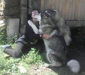 0vSwCjFRE-w.jpg (138.71 КБ, Просмотров: 8462) 0vSwCjFRE-w.jpg