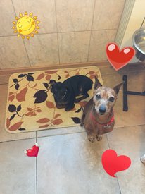 Яков и рон.jpg (199.37 КБ, Просмотров: 13122) Яков и рон.jpg