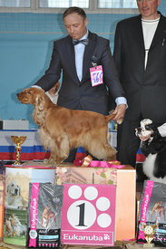 N0PWO.jpg (183.78 КБ, Просмотров: 2925) N0PWO.jpg