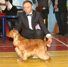 Z3c7Lqoi перчик в крске.jpg (56 КБ, Просмотров: 3113) Z3c7Lqoi перчик в крске.jpg