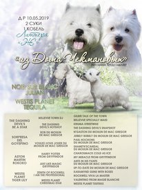 44(1).jpg (354.3 КБ, Просмотров: 2077) 44(1).jpg