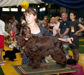 Fcz-81_новый размер.jpg (166.18 КБ, Просмотров: 2924) Fcz-81_новый размер.jpg