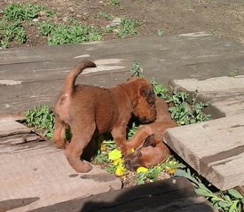 62053681_2417798534907896_375841395388186624_n.jpg (115.06 КБ, Просмотров: 2363) 62053681_2417798534907896_375841395388186624_n.jpg