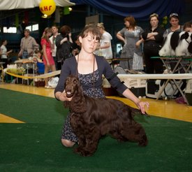 Fcz-95_новый размер.jpg (164.71 КБ, Просмотров: 2924) Fcz-95_новый размер.jpg