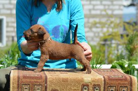 61737008_2184223935007389_2711918457514885120_n.jpg (126.16 КБ, Просмотров: 2363) 61737008_2184223935007389_2711918457514885120_n.jpg