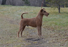 ММ PP.jpg (284.54 КБ, Просмотров: 2531) ММ PP.jpg