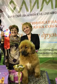 18118790_1349076785187403_1933155859378105740_n.jpg (96.14 КБ, Просмотров: 1906) 18118790_1349076785187403_1933155859378105740_n.jpg