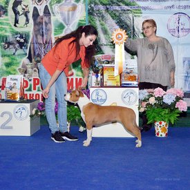 46830916_2257723014251951_7844929002195124224_n.jpg (138.35 КБ, Просмотров: 1906) 46830916_2257723014251951_7844929002195124224_n.jpg