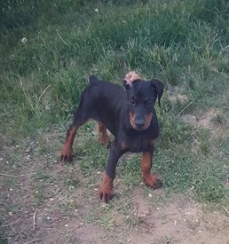 иркутск.jpg (166.29 КБ, Просмотров: 1369) иркутск.jpg